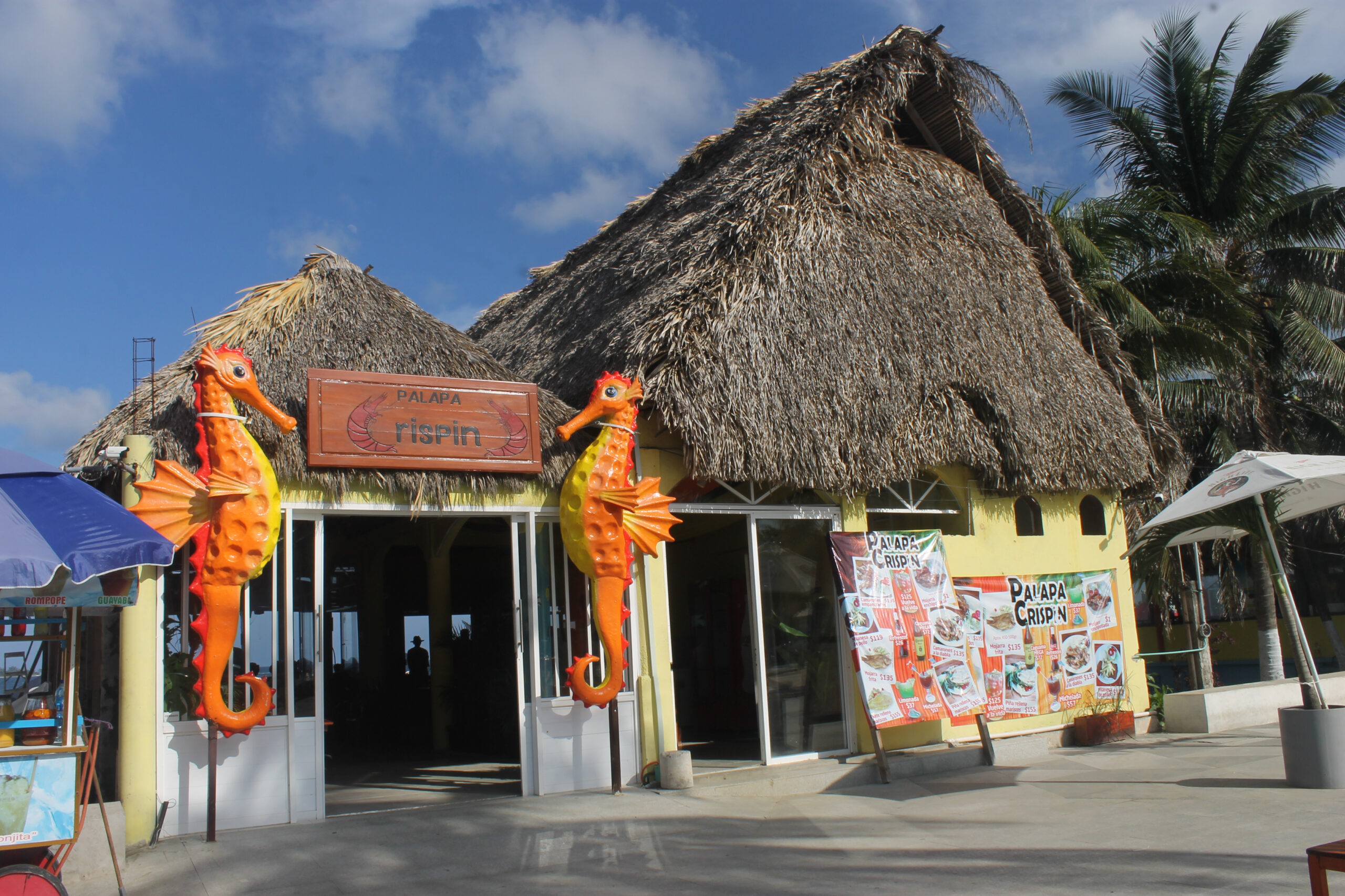 Palapa crispín